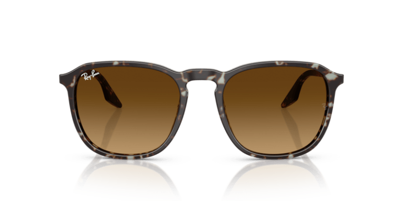 Havana Yellow Tortoiseshell - 0RB2203 8056262474310