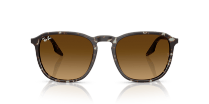 Havana Yellow Tortoiseshell - 0RB2203 8056262474310