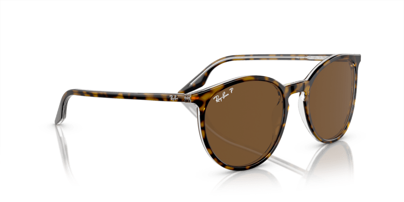 0RB2204 - Ray - Ban - (Havana On Transparent) Brown Polarized - 51 - 20 - 145 MM - Ardor Eyewear 8056597936392