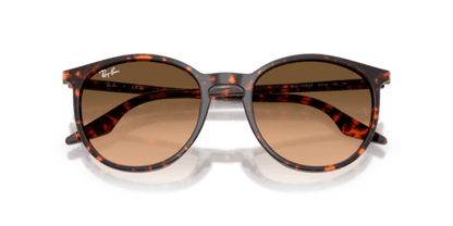 Havana Red Tortoiseshell - 0RB2204 8056262473313