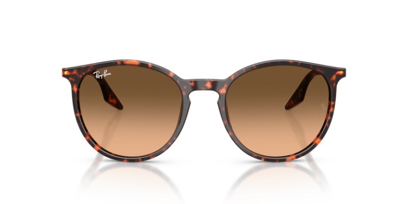 Havana Red Tortoiseshell - 0RB2204 8056262473313