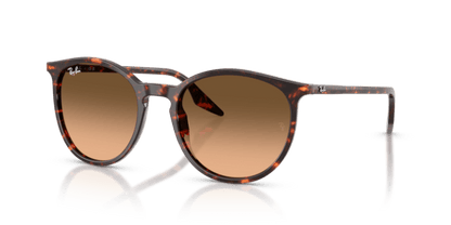 Havana Red Tortoiseshell - 0RB2204 8056262473313