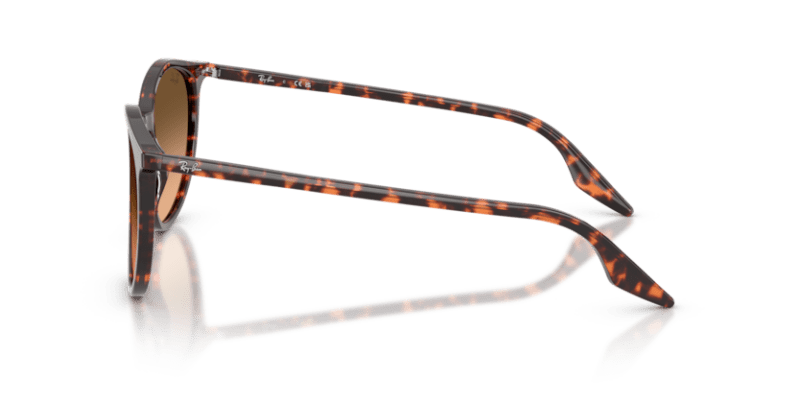 Havana Red Tortoiseshell - 0RB2204 8056262473313