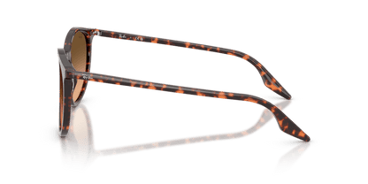 Havana Red Tortoiseshell - 0RB2204 8056262473313