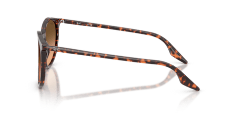 Havana Red Tortoiseshell - 0RB2204 8056262473313