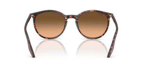 Havana Red Tortoiseshell - 0RB2204 8056262473313