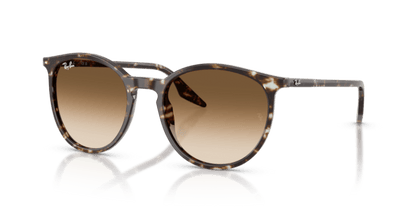 Havana Yellow Tortoiseshell - 0RB2204 8056262473351