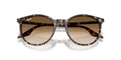 Havana Yellow Tortoiseshell - 0RB2204 8056262473351