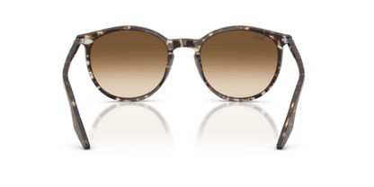 Havana Yellow Tortoiseshell - 0RB2204 8056262473351