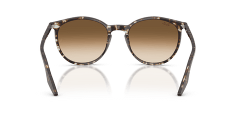 Havana Yellow Tortoiseshell - 0RB2204 8056262473351
