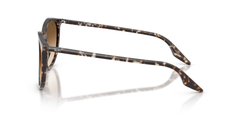 Havana Yellow Tortoiseshell - 0RB2204 8056262473351