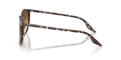 Havana Yellow Tortoiseshell - 0RB2204 8056262473351