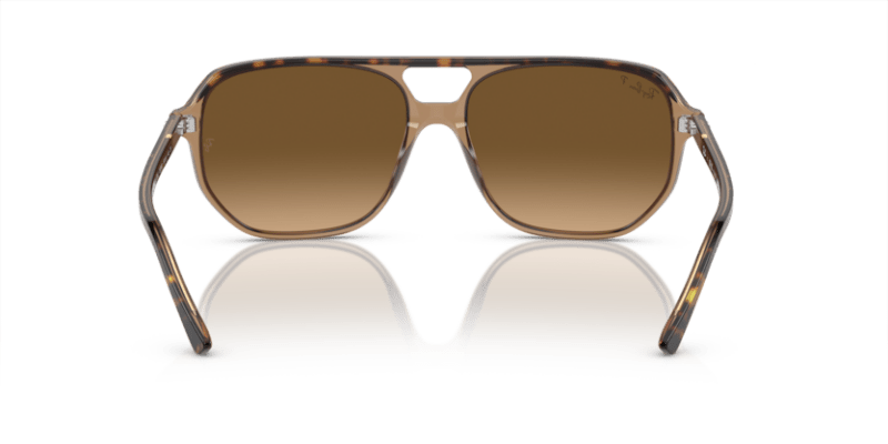 Havana On Transparent Brown - 0RB2205 8056597936149