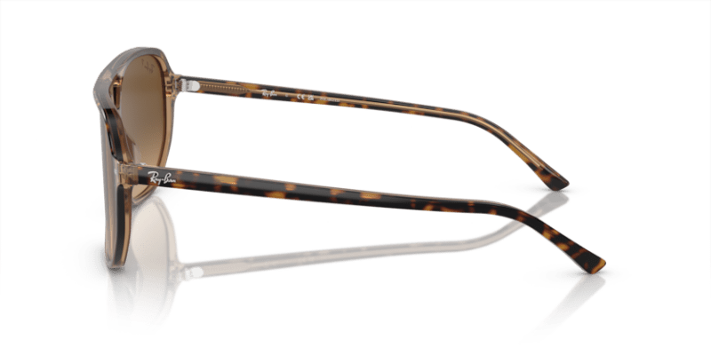 Havana On Transparent Brown - 0RB2205 8056597936149