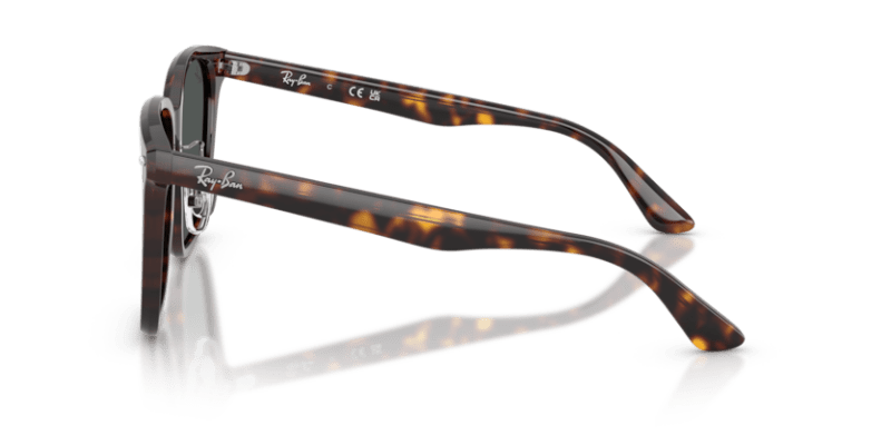 Havana - 0RB2206D 8056262484340