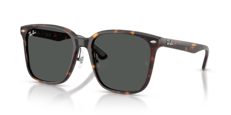 Havana - 0RB2206D 8056262484340