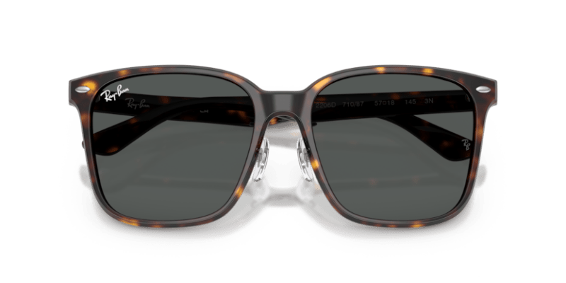 Havana - 0RB2206D 8056262484340