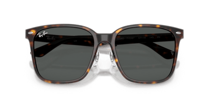 Havana - 0RB2206D 8056262484340