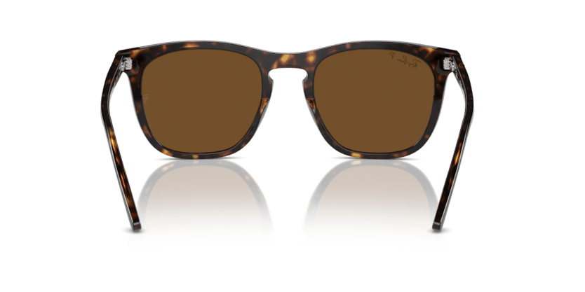 0RB2210 - Ray - Ban - (Havana) Brown Polarized - 53 - 21 - 145 MM - Ardor Eyewear 8056262030646