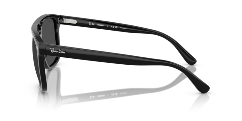 Black - 0RB2213CH 8056262297278