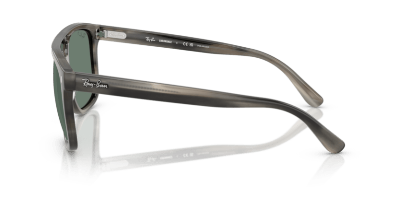 Havana Grey - 0RB2213CH 8056262297254