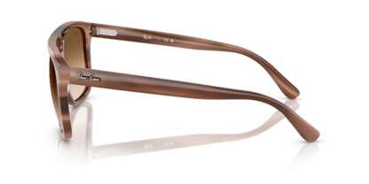 Havana Brown - 0RB2213 8056262282830