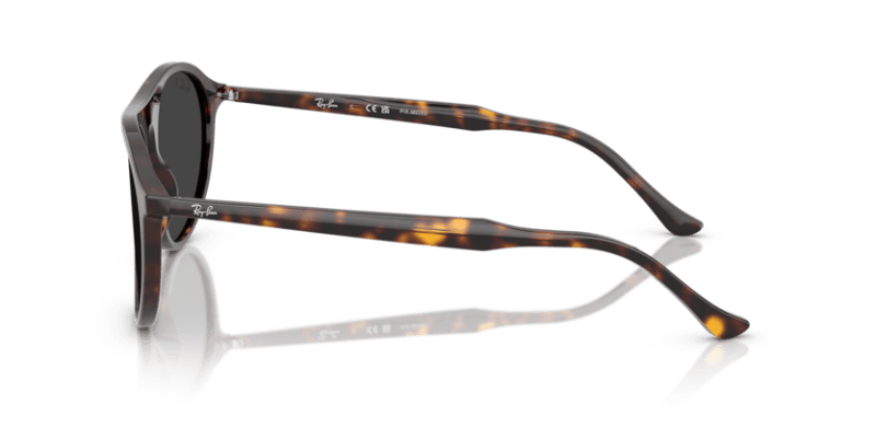 Havana - 0RB2215 8056262495230