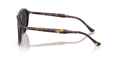 Havana - 0RB2215 8056262495230