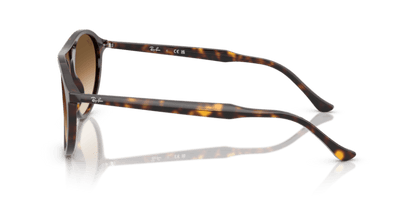 Havana - 0RB2215 8056262412947