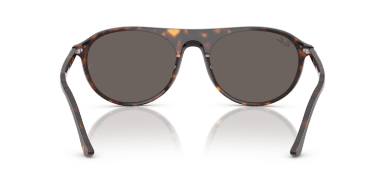 Havana - 0RB2215 8056262412961