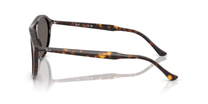 Havana - 0RB2215 8056262412961