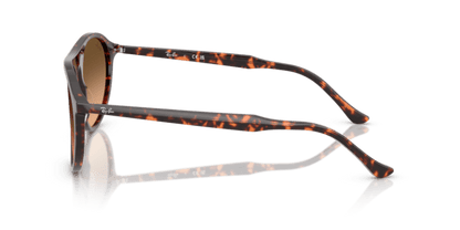 Havana Red Tortoiseshell - 0RB2215 8056262412817