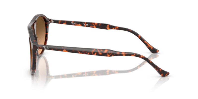 Havana Red Tortoiseshell - 0RB2215 8056262412817