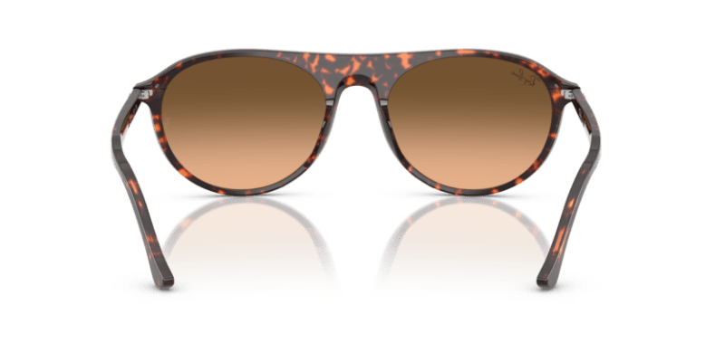Havana Red Tortoiseshell - 0RB2215 8056262412817