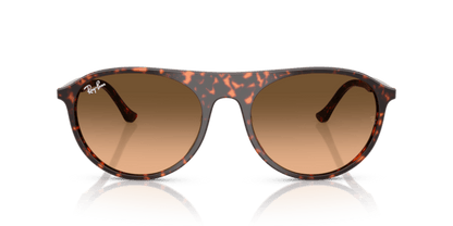 Havana Red Tortoiseshell - 0RB2215 8056262412817