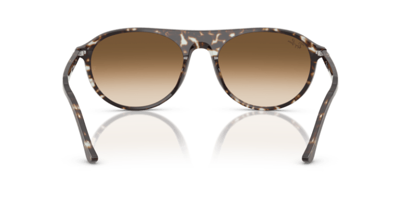 Havana Yellow Tortoiseshell - 0RB2215 8056262412879