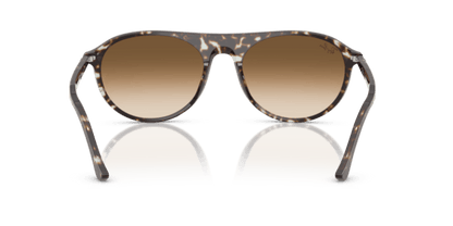 Havana Yellow Tortoiseshell - 0RB2215 8056262412879