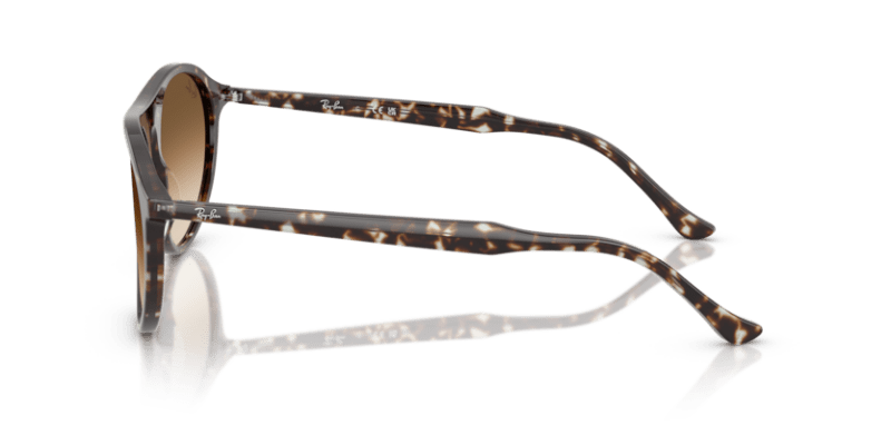 Havana Yellow Tortoiseshell - 0RB2215 8056262412879