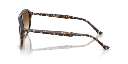 Havana Yellow Tortoiseshell - 0RB2215 8056262412879