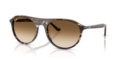 Havana Yellow Tortoiseshell - 0RB2215 8056262412879