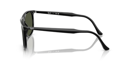 Black - 0RB2216 8056262412596