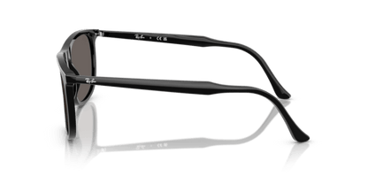 Black - 0RB2216 8056262412619