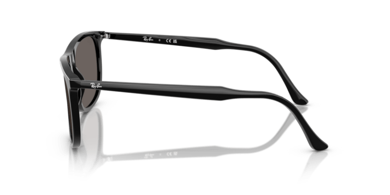 Black - 0RB2216 8056262412619