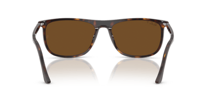 Havana - 0RB2216 8056262495254