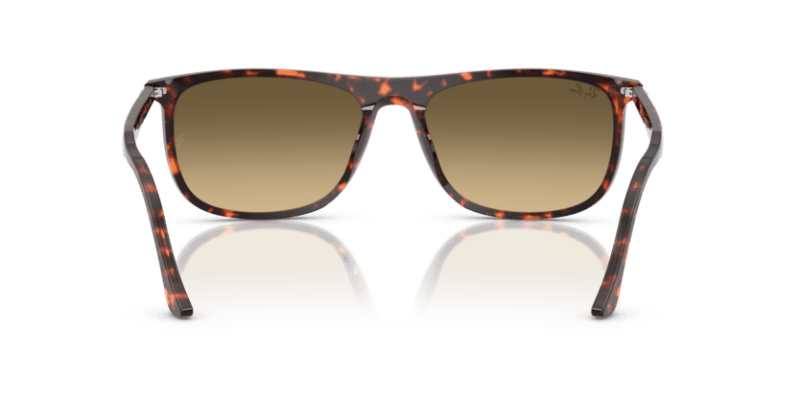 Havana Red Tortoiseshell - 0RB2216 8056262412534