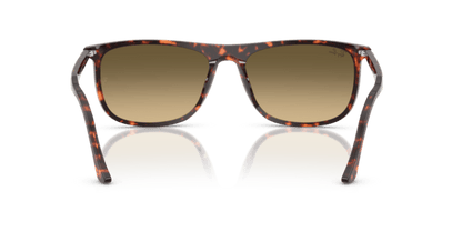 Havana Red Tortoiseshell - 0RB2216 8056262412534