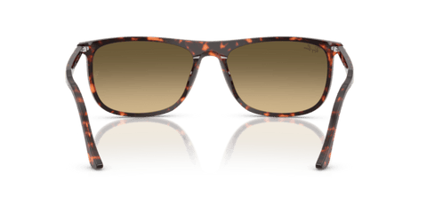Havana Red Tortoiseshell - 0RB2216 8056262412534