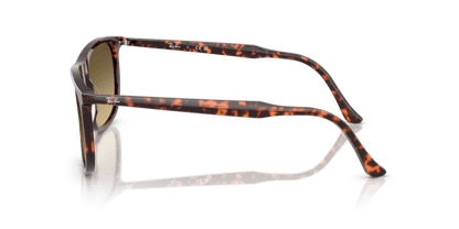 Havana Red Tortoiseshell - 0RB2216 8056262412534