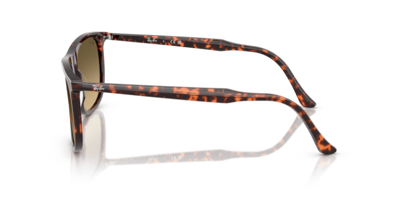 Havana Red Tortoiseshell - 0RB2216 8056262412534