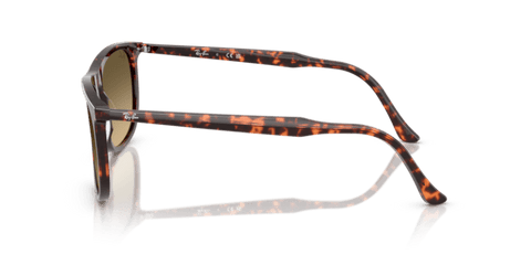 Havana Red Tortoiseshell - 0RB2216 8056262412534